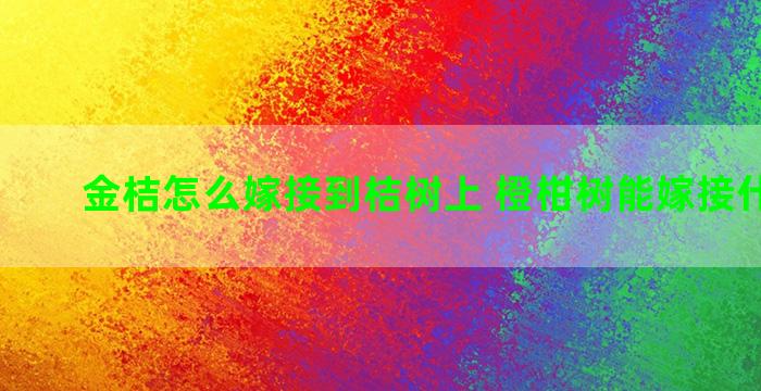 金桔怎么嫁接到桔树上 橙柑树能嫁接什么果树